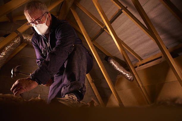 Types of Insulation We Offer in Lone Tree, CO