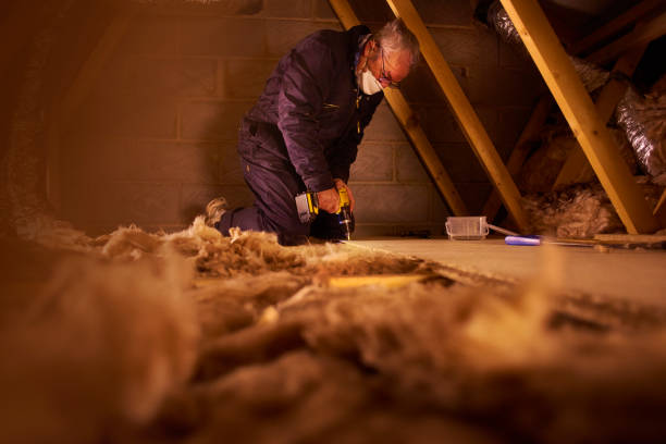 Best Geographic-Specific Insulation Services in Lone Tree, CO